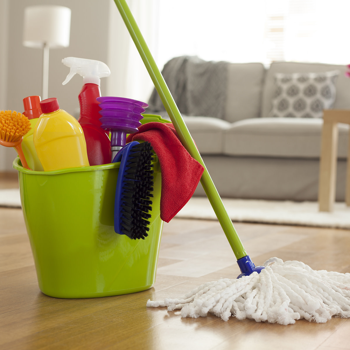 a-mop,-bucket-with-cleaning-supplies,-and-brushes-against-a-living-room-background.